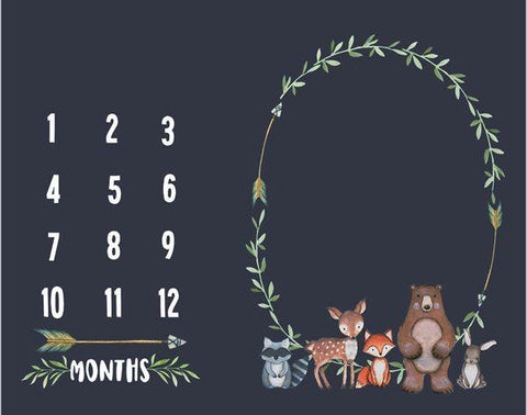 Baby Monthly Milestone Blanket - Little Luxurious Store
